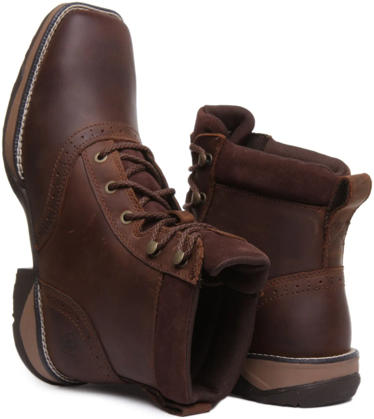 Ariat Anthem Lacer In Dark Brown For Women