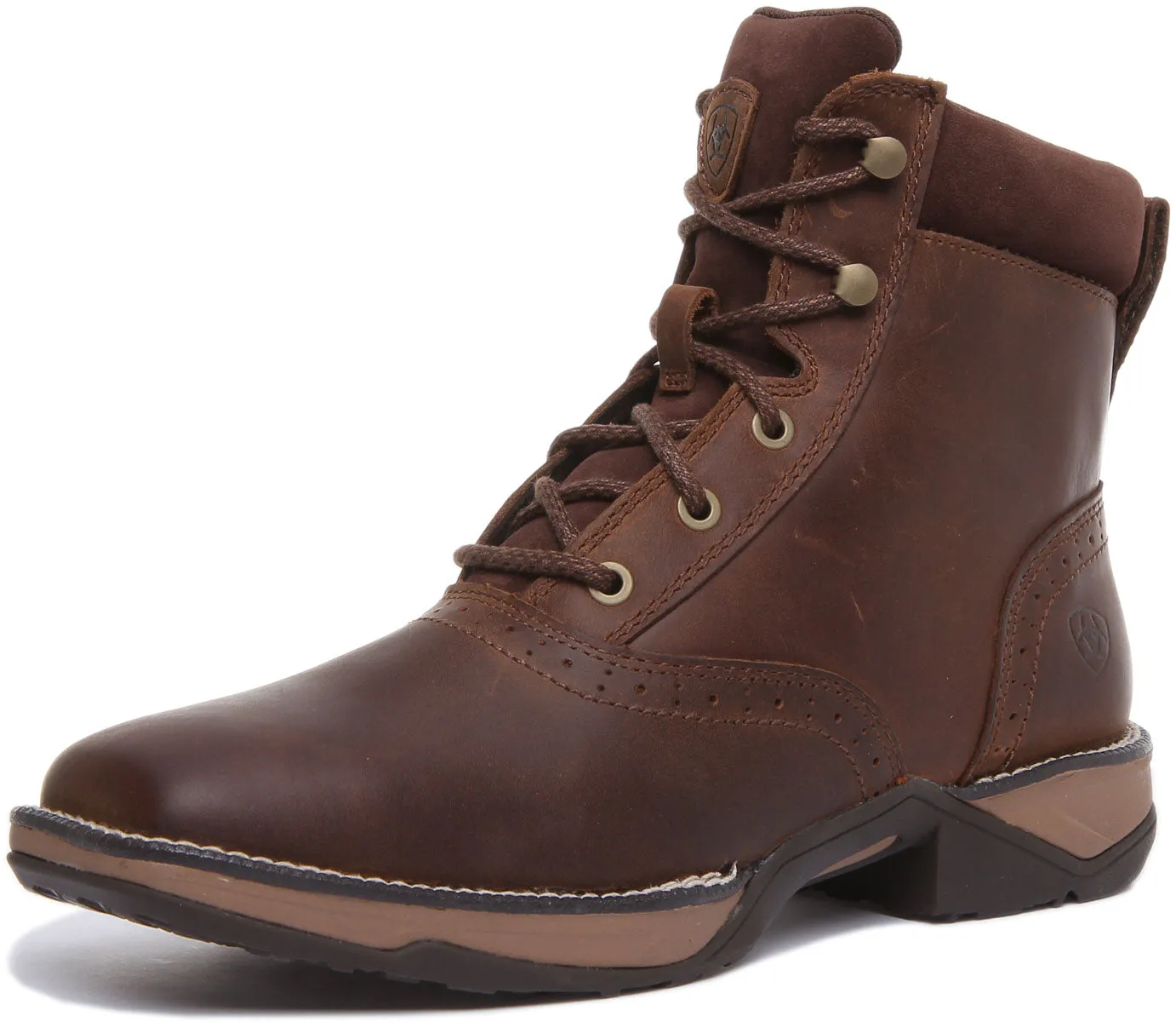 Ariat Anthem Lacer In Dark Brown For Women