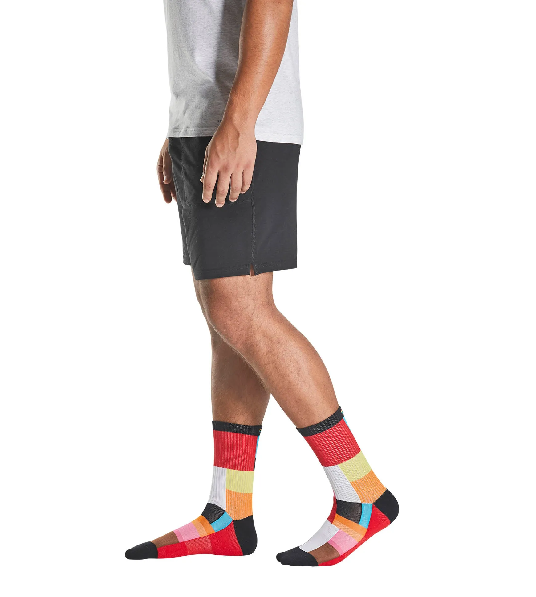 Cushion Crew Socks - PRIDE